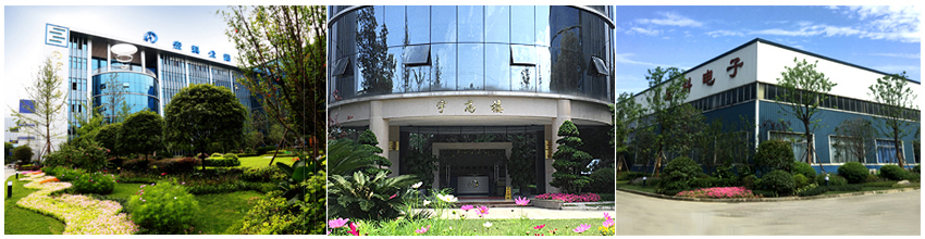 bwin·必赢